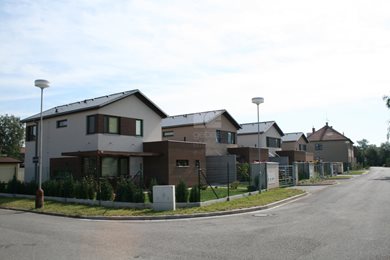 IMG_0614