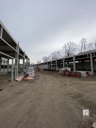IMG_4242